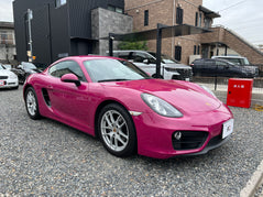 Porsche Cayman | 981C | 178.354 km | 275 PS | PDK | LED