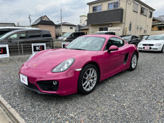 Porsche Cayman | 981C | 178.354 km | 275 PS | PDK | LED