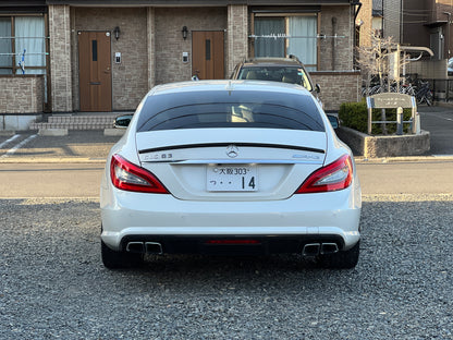 Mercedes Benz CLS63 AMG | 98.395 km | 557 PS | DE | Performance | Nachtsicht