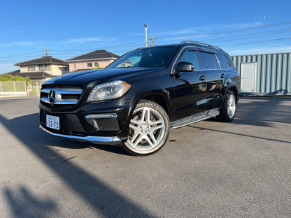 Mercedes Benz GLS350d BlueTEC 4MATIC OFF-Roader / GL350 X166 | AMG | 360 Kamera