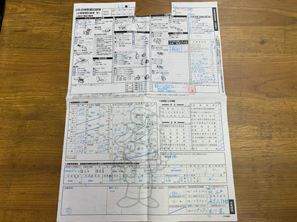 Mercedes Benz CLS500 AMG | C219 | 90.089 km | 387 PS | harman/kardon